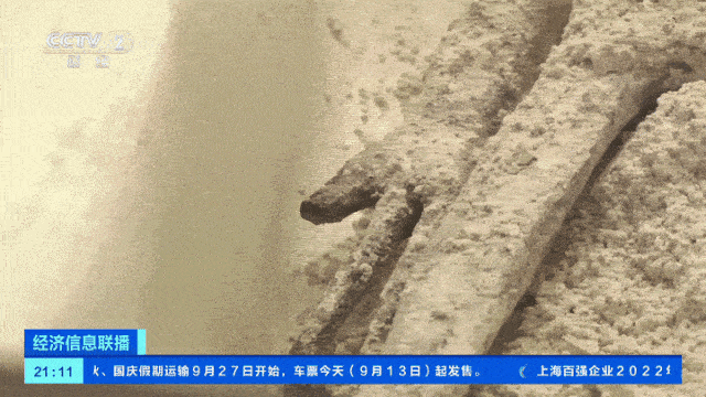 水平仪 手机:中国航天回应疑似“外星生物”，发现者被揭底